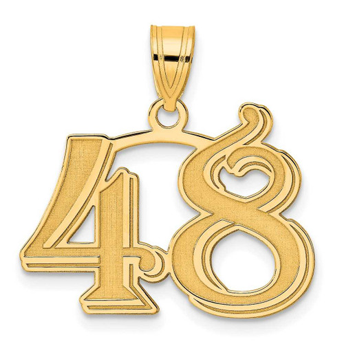 Image of 14K Yellow Gold Polished Etched Number 48 Pendant