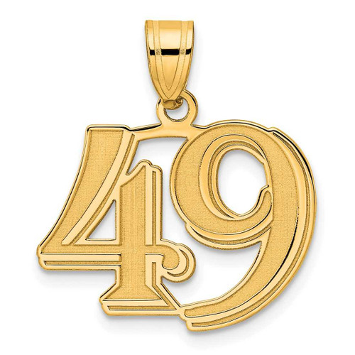Image of 14K Yellow Gold Polished Etched Number 49 Pendant
