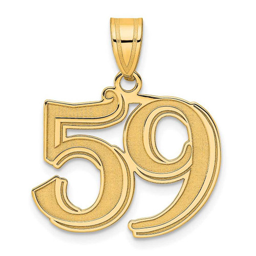 Image of 14K Yellow Gold Polished Etched Number 59 Pendant