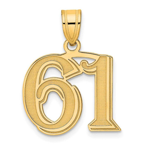 Image of 14K Yellow Gold Polished Etched Number 61 Pendant