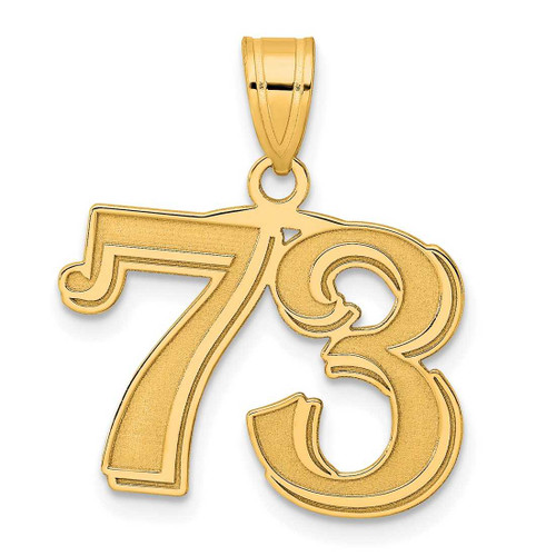 Image of 14K Yellow Gold Polished Etched Number 73 Pendant