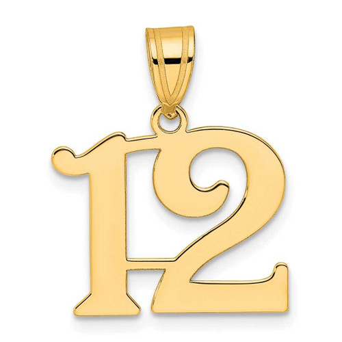 Image of 14K Yellow Gold Polished Number 12 Pendant