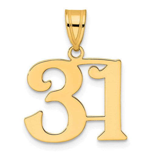 Image of 14K Yellow Gold Polished Number 31 Pendant
