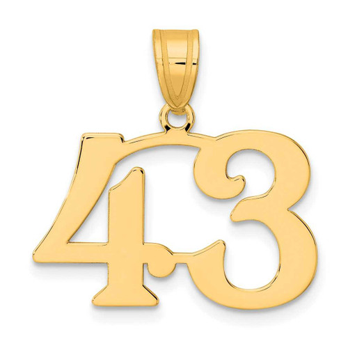 Image of 14K Yellow Gold Polished Number 43 Pendant