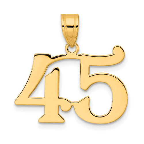 Image of 14K Yellow Gold Polished Number 45 Pendant APN45