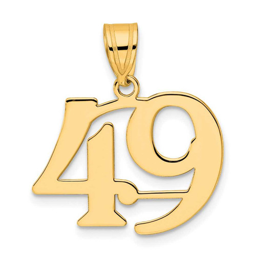 Image of 14K Yellow Gold Polished Number 49 Pendant