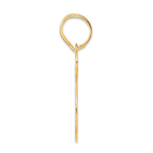 Image of 14K Yellow Gold Polished Number 55 Pendant