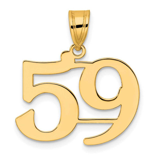 Image of 14K Yellow Gold Polished Number 59 Pendant