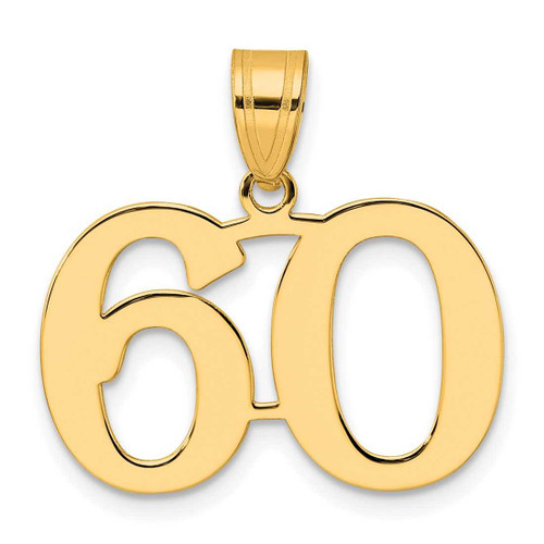 Image of 14K Yellow Gold Polished Number 60 Pendant