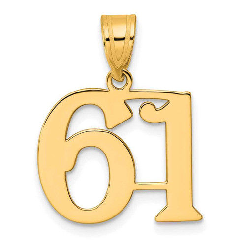 Image of 14K Yellow Gold Polished Number 61 Pendant
