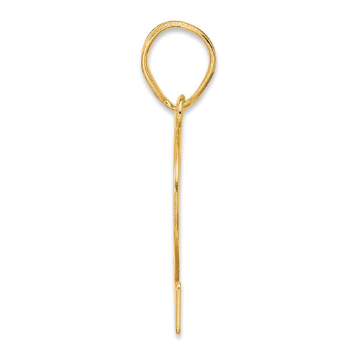 Image of 14K Yellow Gold Polished Number 62 Pendant