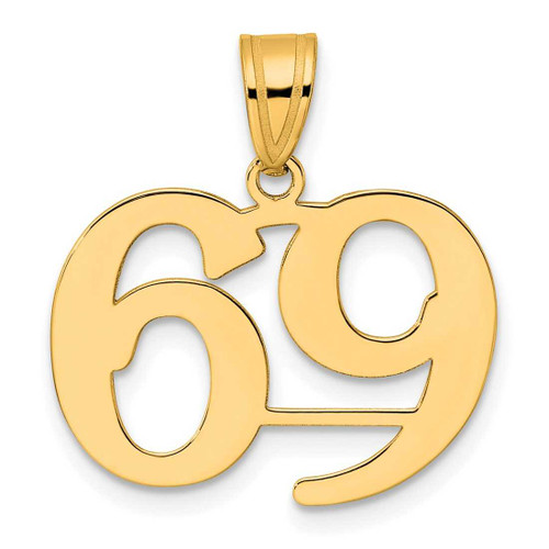Image of 14K Yellow Gold Polished Number 69 Pendant