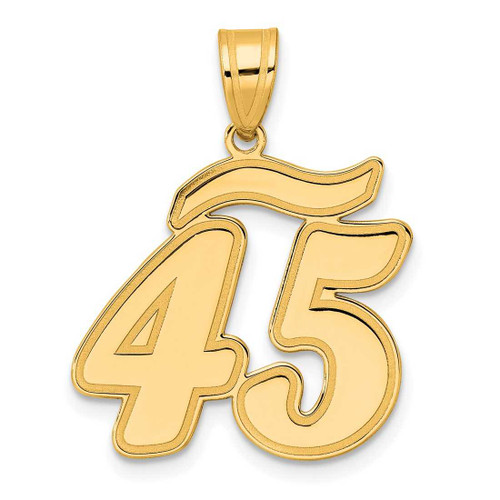 Image of 14K Yellow Gold Polished Script Number 45 Pendant