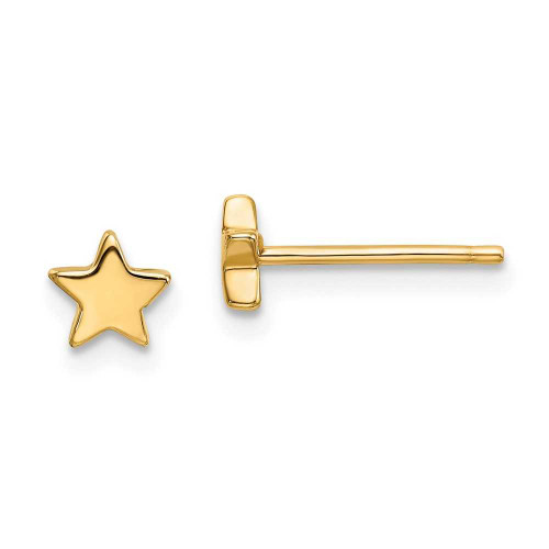 Image of 5mm 14K Yellow Gold Polished Star Post Earrings TE651