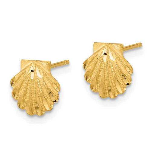 Image of 9mm 14K Yellow Gold Satin Shiny-Cut Seashell Stud Post Earrings