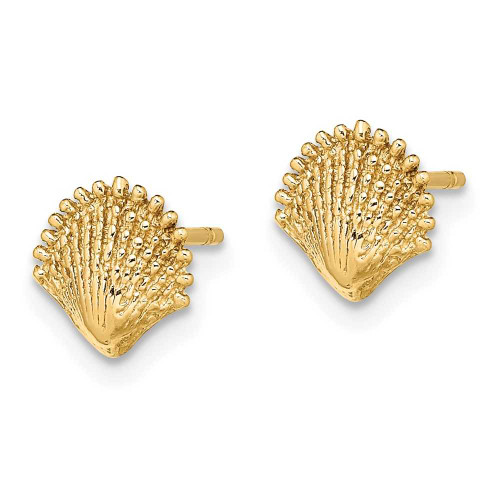 Image of 7.8mm 14K Yellow Gold Scallop Shell Post Earrings TE778