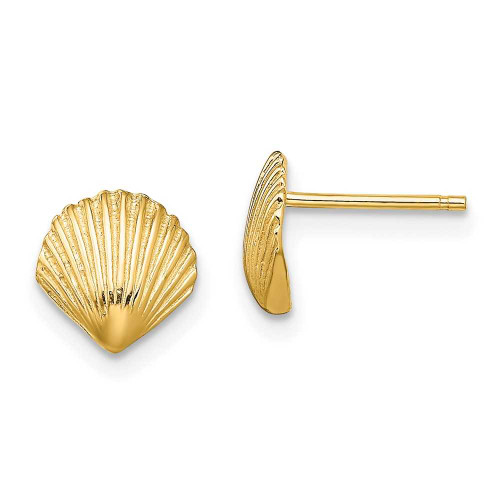 Image of 8mm 14K Yellow Gold Scallop Shell Post Earrings TE782