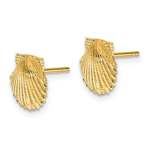 Image of 9mm 14K Yellow Gold Scallop Shell Stud Post Earrings TC569