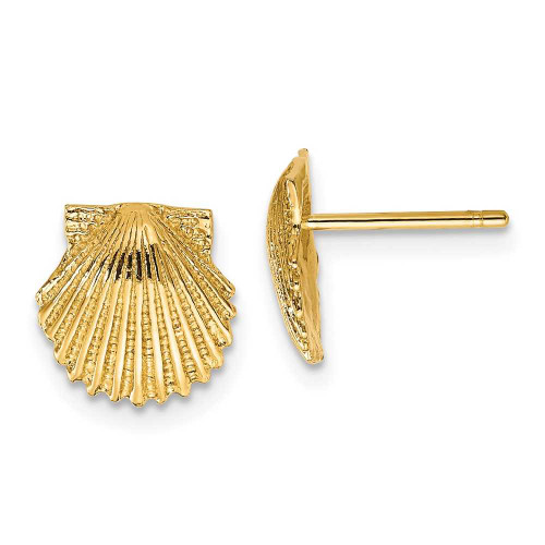 Image of 9mm 14K Yellow Gold Scallop Shell Stud Post Earrings TC569