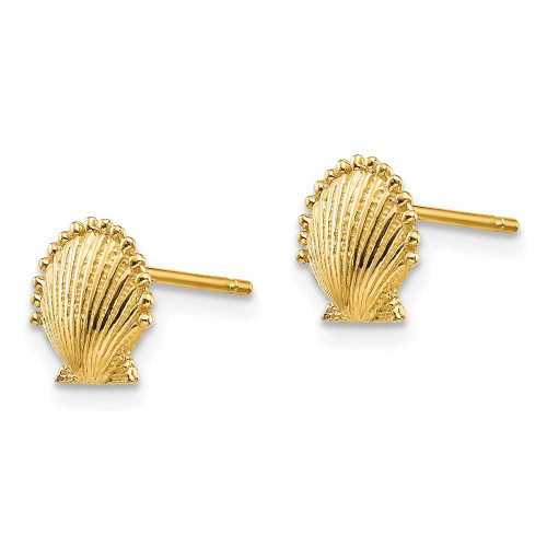 Image of 8mm 14K Yellow Gold Scallop Shell Stud Post Earrings TE633