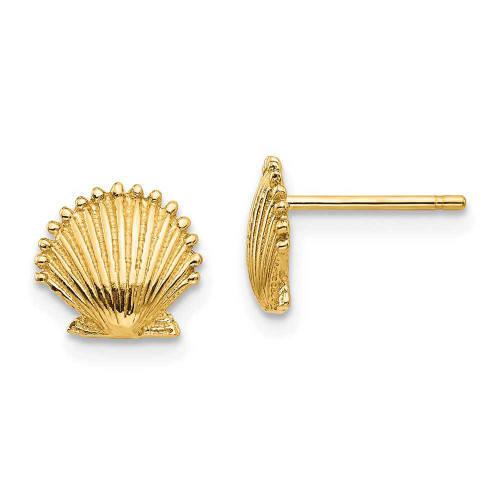 Image of 8mm 14K Yellow Gold Scallop Shell Stud Post Earrings TE633