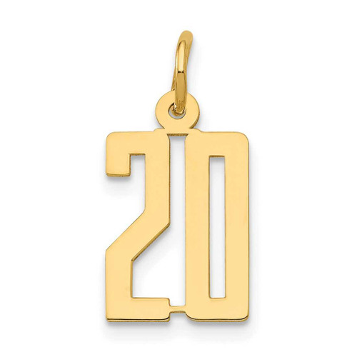 Image of 14K Yellow Gold Small Polished Elongated Number 20 Charm