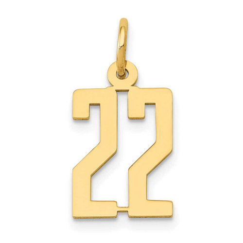 Image of 14K Yellow Gold Small Polished Elongated Number 22 Charm