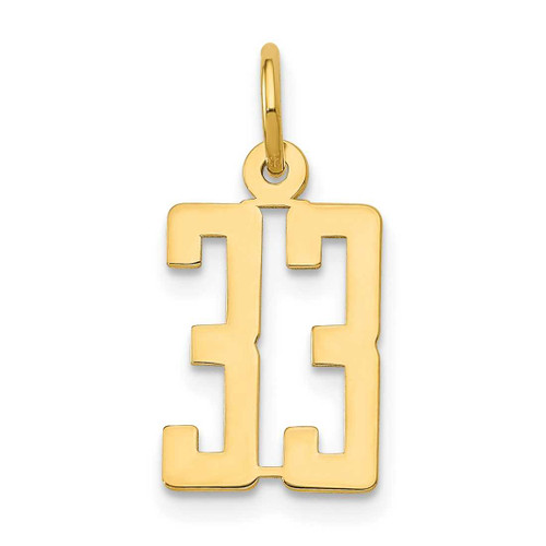 Image of 14K Yellow Gold Small Polished Elongated Number 33 Charm