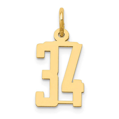 Image of 14K Yellow Gold Small Polished Elongated Number 34 Charm