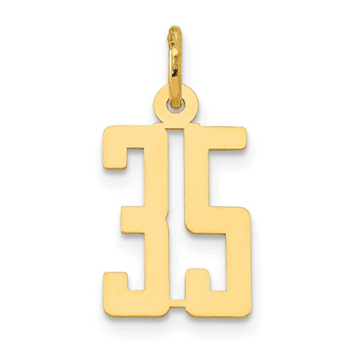 Image of 14K Yellow Gold Small Polished Elongated Number 35 Charm