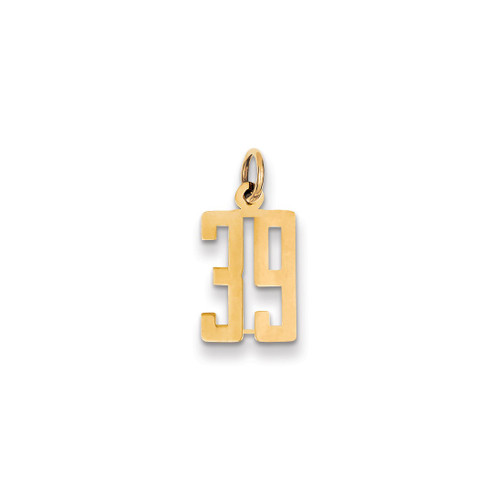 Image of 14K Yellow Gold Small Polished Elongated Number 39 Charm