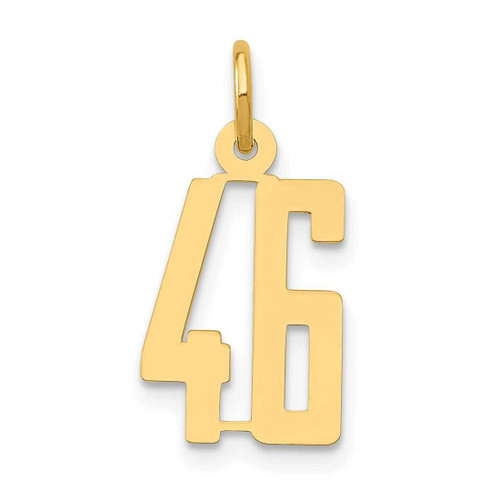 Image of 14K Yellow Gold Small Polished Elongated Number 46 Charm