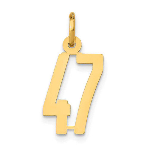 Image of 14K Yellow Gold Small Polished Elongated Number 47 Charm