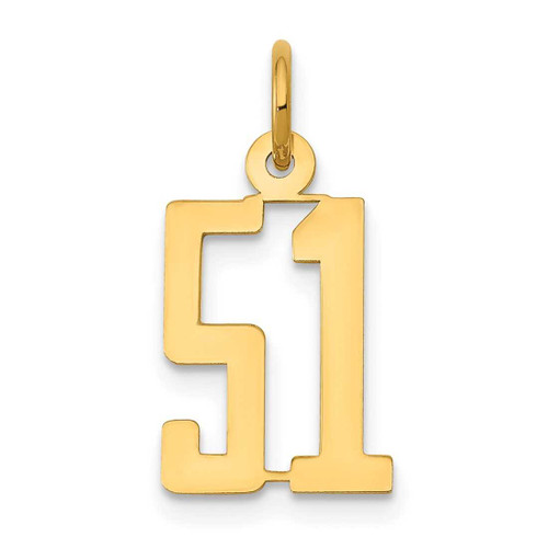 Image of 14K Yellow Gold Small Polished Elongated Number 51 Charm