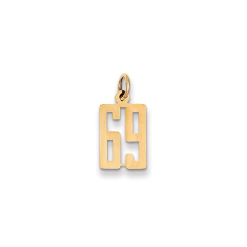 Image of 14K Yellow Gold Small Polished Elongated Number 69 Charm