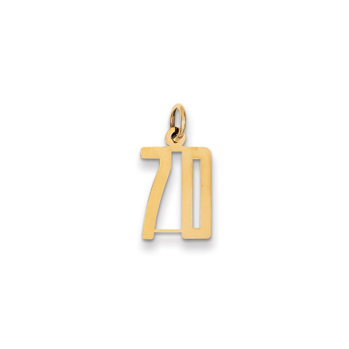 Image of 14K Yellow Gold Small Polished Elongated Number 70 Charm