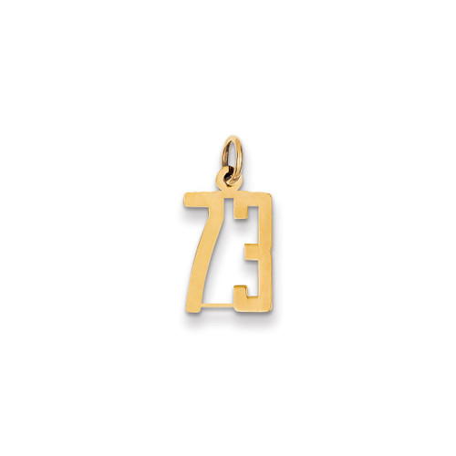 Image of 14K Yellow Gold Small Polished Elongated Number 73 Charm
