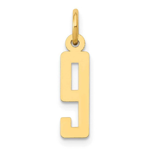 Image of 14K Yellow Gold Small Polished Elongated Number 9 Charm