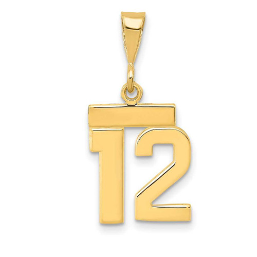 Image of 14K Yellow Gold Small Polished Number 12 Pendant SP12