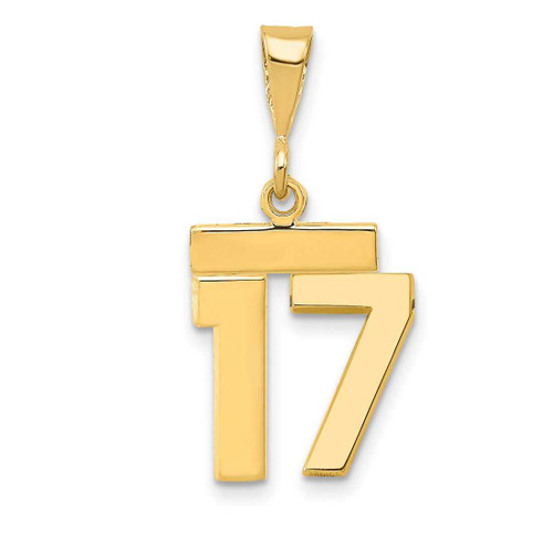 Image of 14K Yellow Gold Small Polished Number 17 Charm SP17