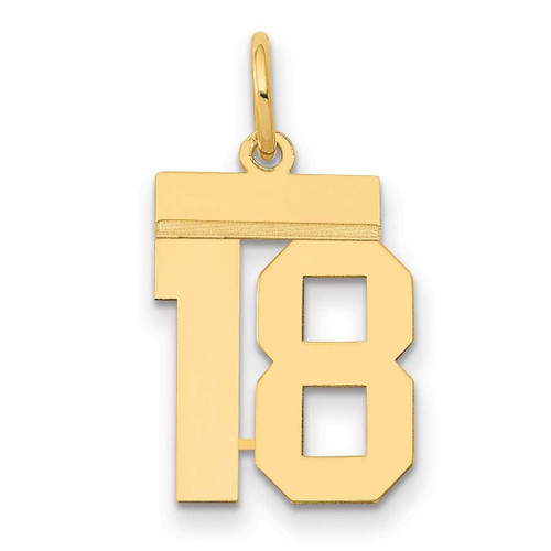 Image of 14K Yellow Gold Small Polished Number 18 Charm LS18
