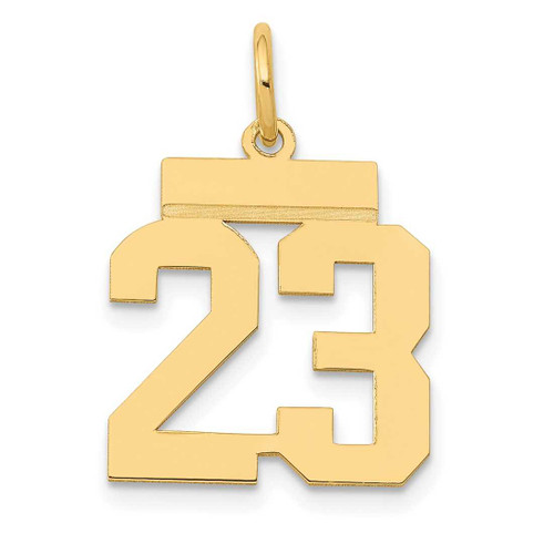 Image of 14K Yellow Gold Small Polished Number 23 Charm LS23