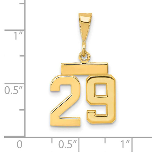 Image of 14K Yellow Gold Small Polished Number 29 Charm SP29