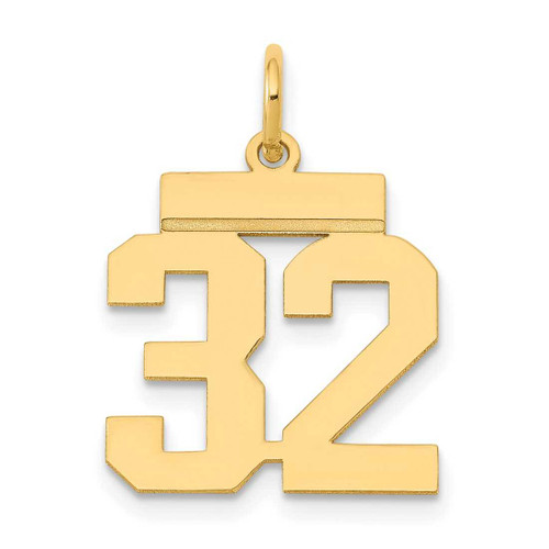 Image of 14K Yellow Gold Small Polished Number 32 Charm LS32
