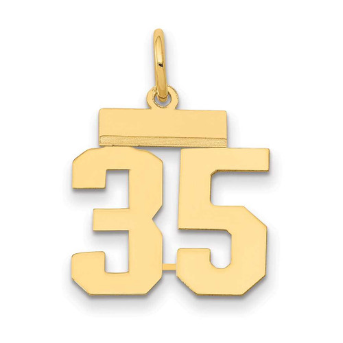 Image of 14K Yellow Gold Small Polished Number 35 Charm LS35
