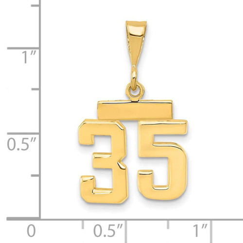 Image of 14K Yellow Gold Small Polished Number 35 Charm SP35