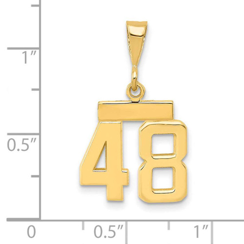 Image of 14K Yellow Gold Small Polished Number 48 Charm SP48