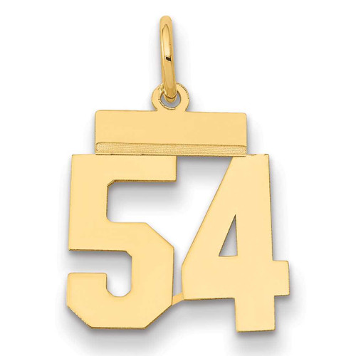 Image of 14K Yellow Gold Small Polished Number 54 Charm LS54