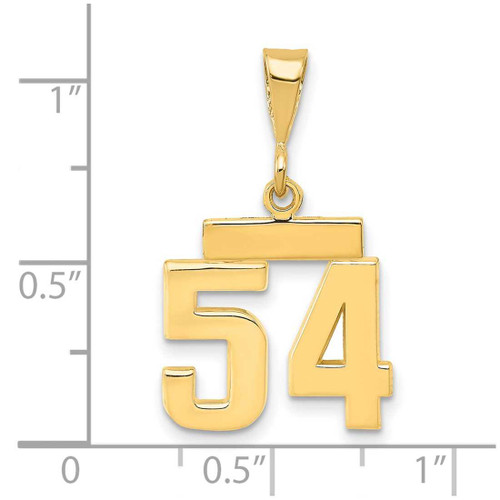 Image of 14K Yellow Gold Small Polished Number 54 Charm SP54