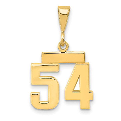 Image of 14K Yellow Gold Small Polished Number 54 Charm SP54